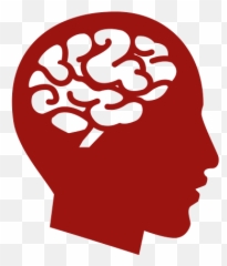 Png Human Brain Image - Icon