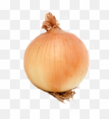 Download Onion Png Image With No Background - Pngkeycom Onion,Onion Png