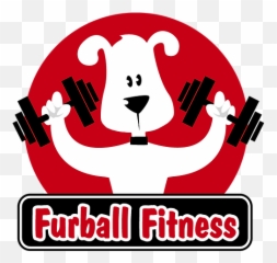 Dog Daycare U0026 Boarding Columbus Central Ohio - Language Png,Dog Boarding Icon
