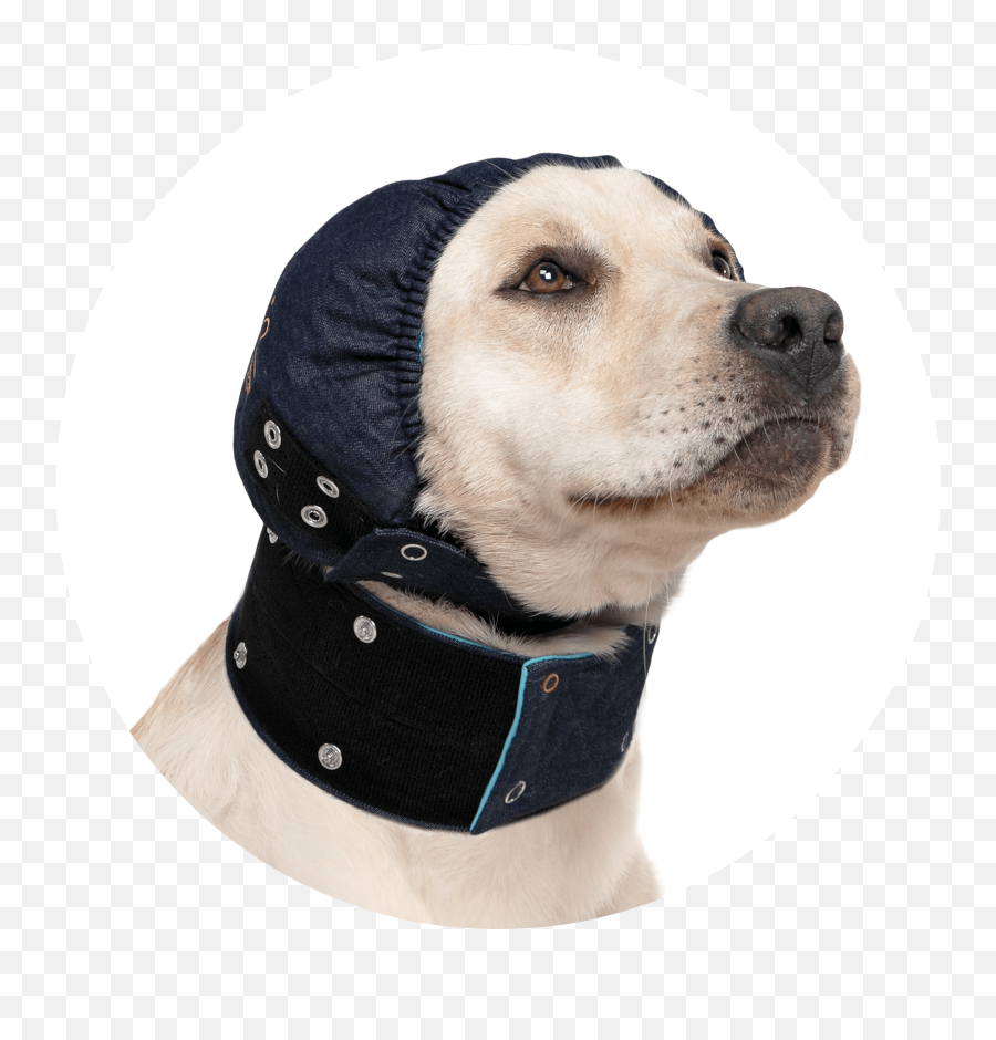 Mps - Head Cover Dog Medical Pet Shirts Mps Head Cover Png,Dog Head Png