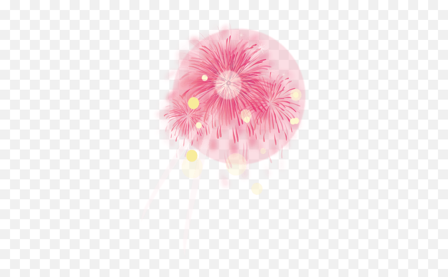 Pink Party Firework - Transparent Png U0026 Svg Vector File Circle,Fire Work Png
