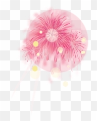 Pink Party Firework - Transparent PNG u0026 SVG vector file Circle
