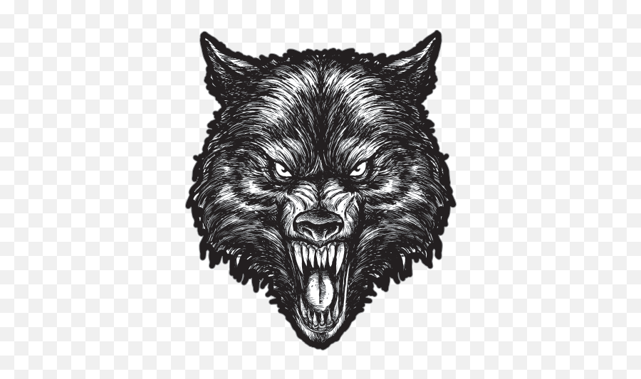 Printed Vinyl High Detailed Wolf Head Stickers Factory - Lore Book Png,Wolf Head Png