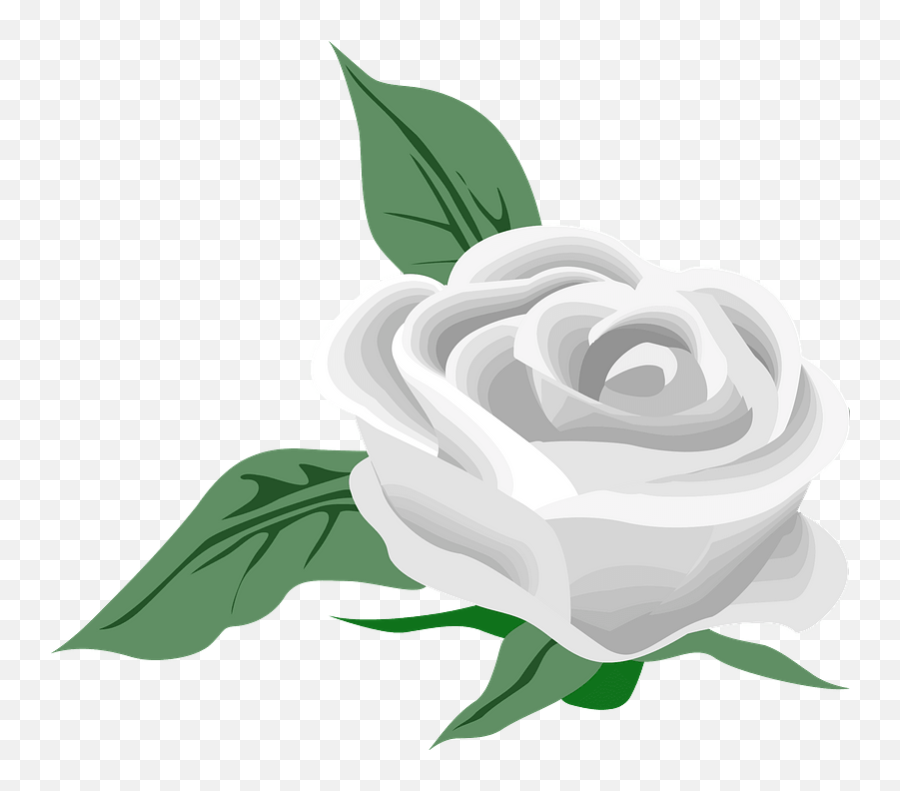White Rose Clipart - Clip Art Png,White Rose Transparent