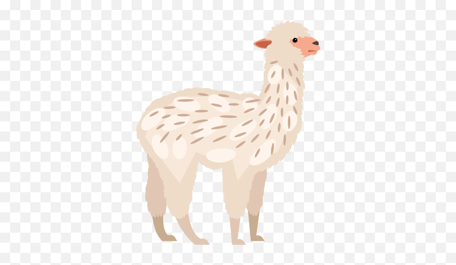 Alpacas - Smithills Open Farm Animal Figure Png,Alpaca Png