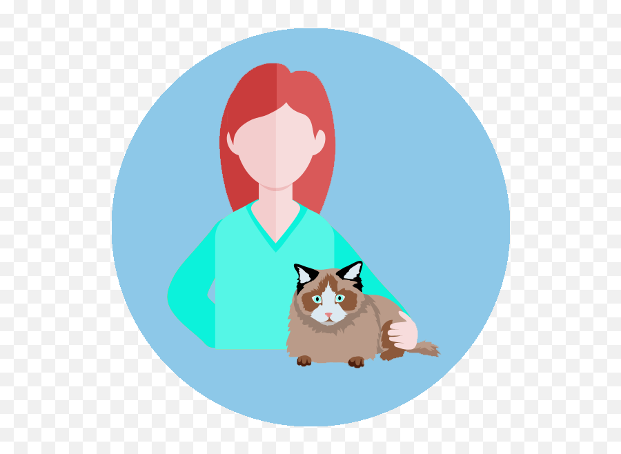 Team - Icon Fear Free Pets Somali Cat Png,Team Icon Png