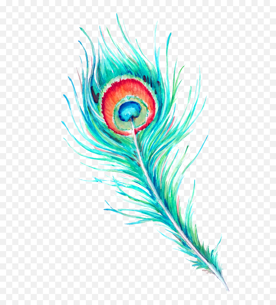Download Peacock Feather Hd Beautiful - Single Peacock Feather Transparent Background Png,Beautiful Png