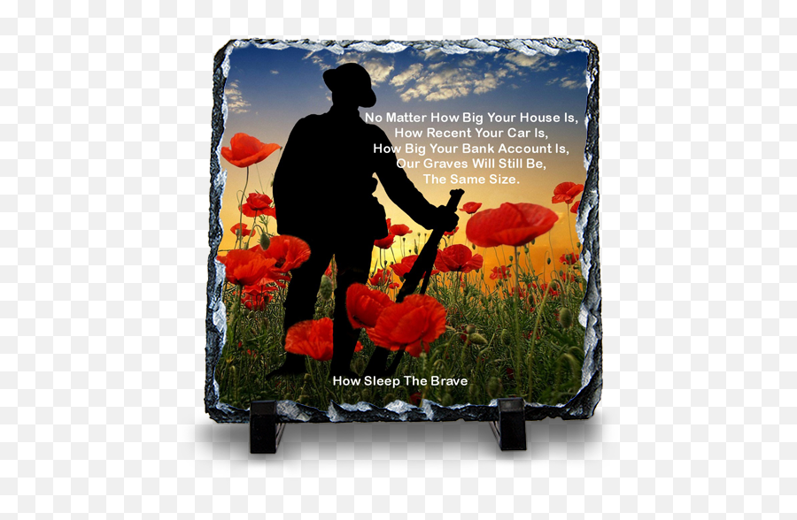 Poppies Png