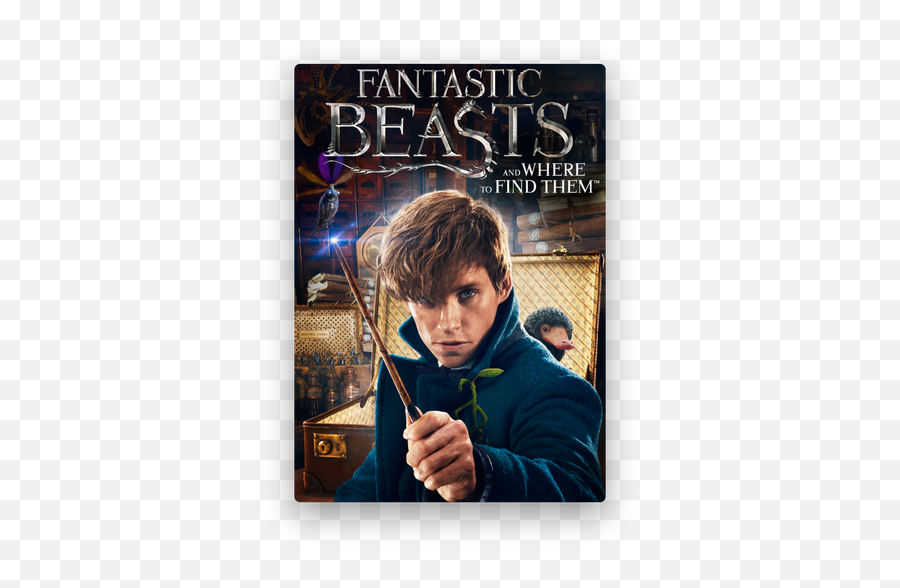 Wizarding World Fantastic Beasts The Crimes Of Grindelwald - Fantastic Beasts And Where To Find Them Png,Eddie Redmayne Icon