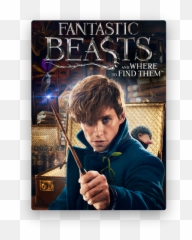 Wizarding World Fantastic Beasts The Crimes Of Grindelwald - And Where To Find Them png