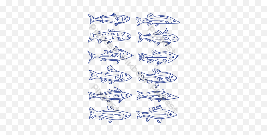 Fish Icon Images Free Psd Templatespng And Vector - Striped Bass,Fish Icon Vector