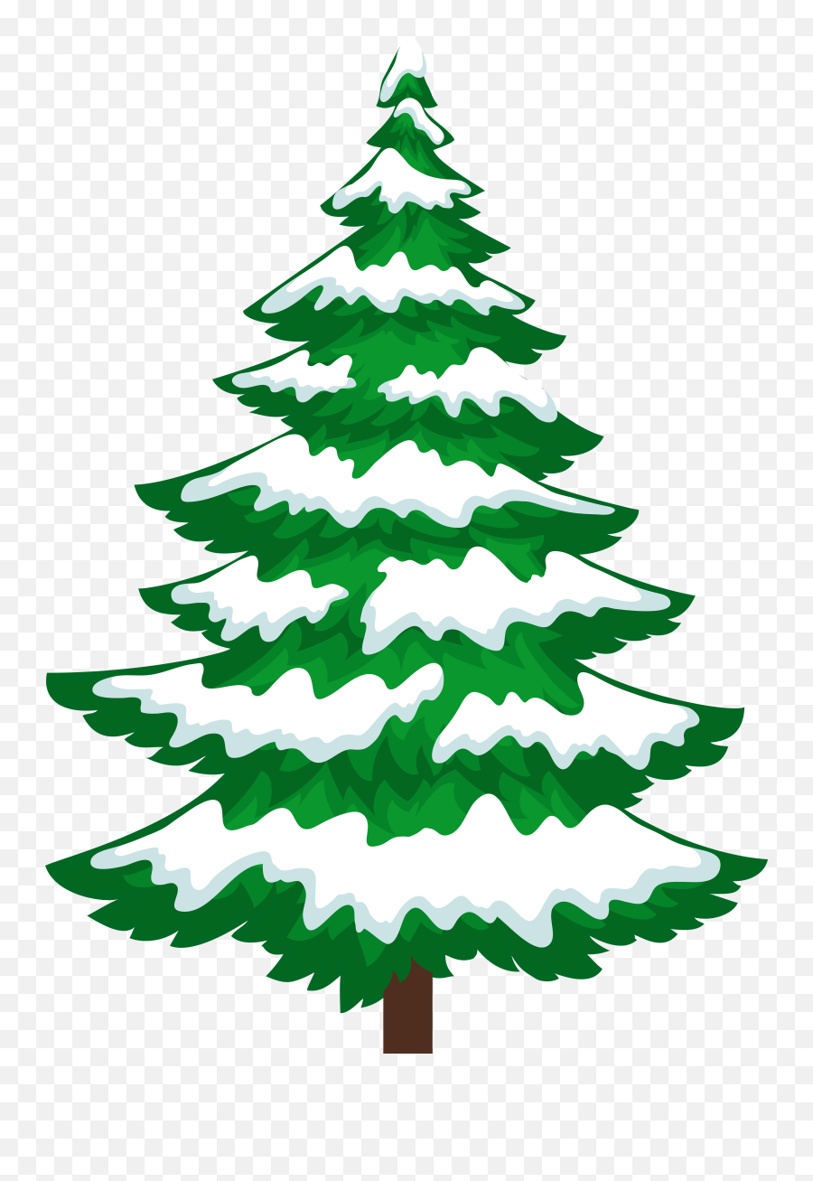 Library Of Pine Tree Clip Art Freeuse Download Transparent - Snowy Christmas Tree Clipart Png,Pine Tree Transparent Background