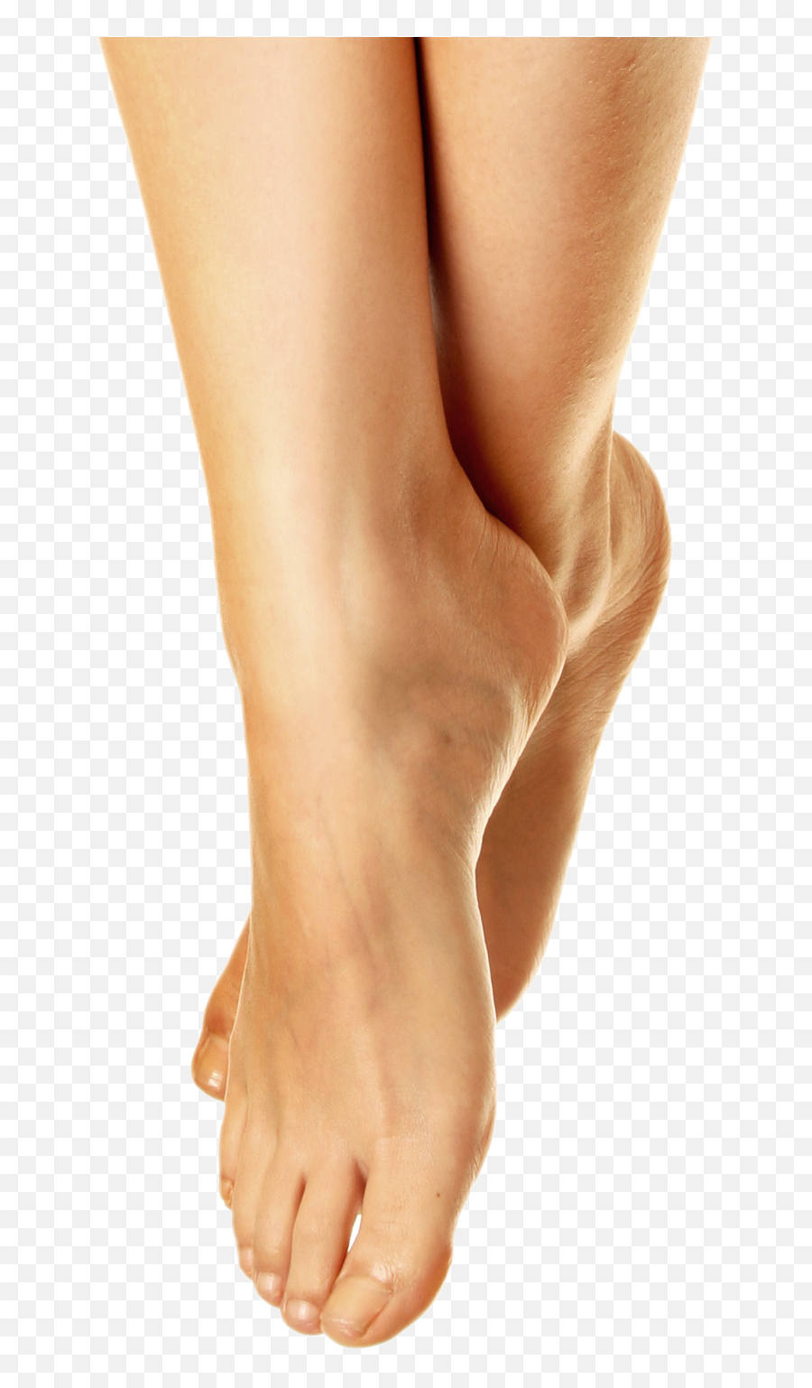 Download Women Legs Png Image For Free - Acupressure,Legs Png