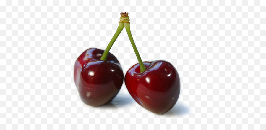 Cherry Png Images Free Download - Cherries Png,Cherries Png