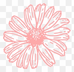 Pink Flower Outline Png