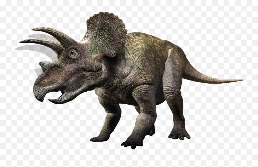 Dinosaur Png Clipart - Triceratops Walking With Dinosaurs,Dinosaur Png