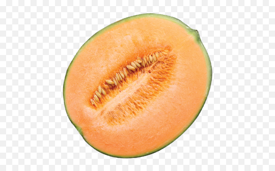 Melon Png Picture Arts - Cantaloup Png,Gourd Png