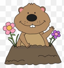 Download Groundhog Day Cartoon Plant For Party 2020 Hq Png - Hogs