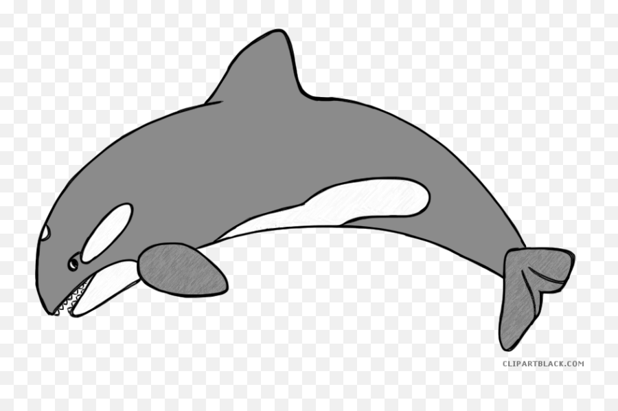 Huge Freebie Download For Powerpoint Presentations - Killer Killer Whale Png,Whale Clipart Png