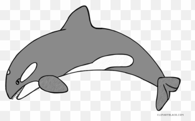 Huge Freebie Download For Powerpoint Presentations - Killer Whale png