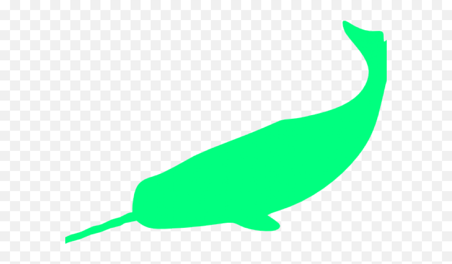 Narwhal Clipart Green - Silueta Narval Png Download Full Clip Art,Narwhal Png