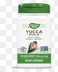 Yucca Stalk 100 Caps - Natureu0027s Way Horse Tail Nature Way Png,Yucca Png