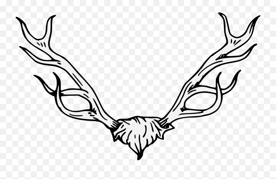 Download Hd Antler Clipart Traceable Transparent Png Image - Head Cabossed,Antler Png