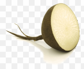 Black Radish Superdiet - Plush Png,Radish Png