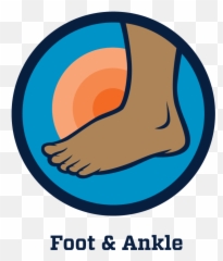 Orthoarkansas - Ankle Png,2 Png