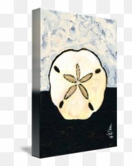 Sand Dollar By Janet Nelson - Sand Dollar Png,Sand Dollar Png
