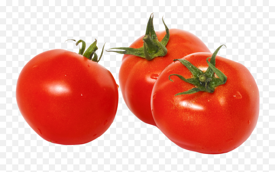 Three Tomatoes With Green Leaves Png - Tomato Images Png,Tomato Transparent