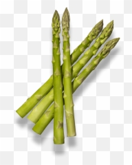 Fukushima Pride - Bamboo Png,Asparagus Png