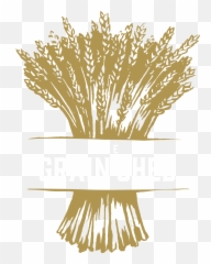 The Grain Shed Png