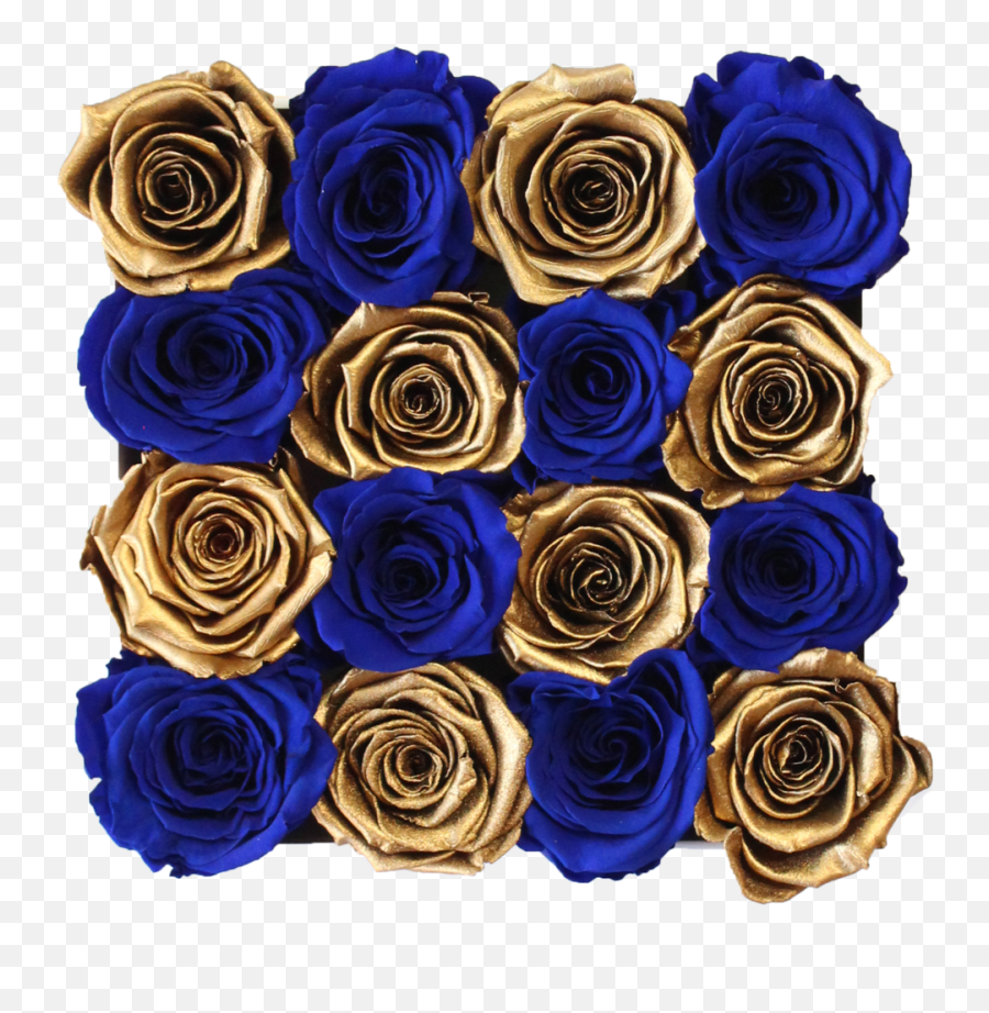 Royal Blue And Gold Preserved Roses White Square Rose Hat Box - Blue Rose Png,Gold Flowers Png