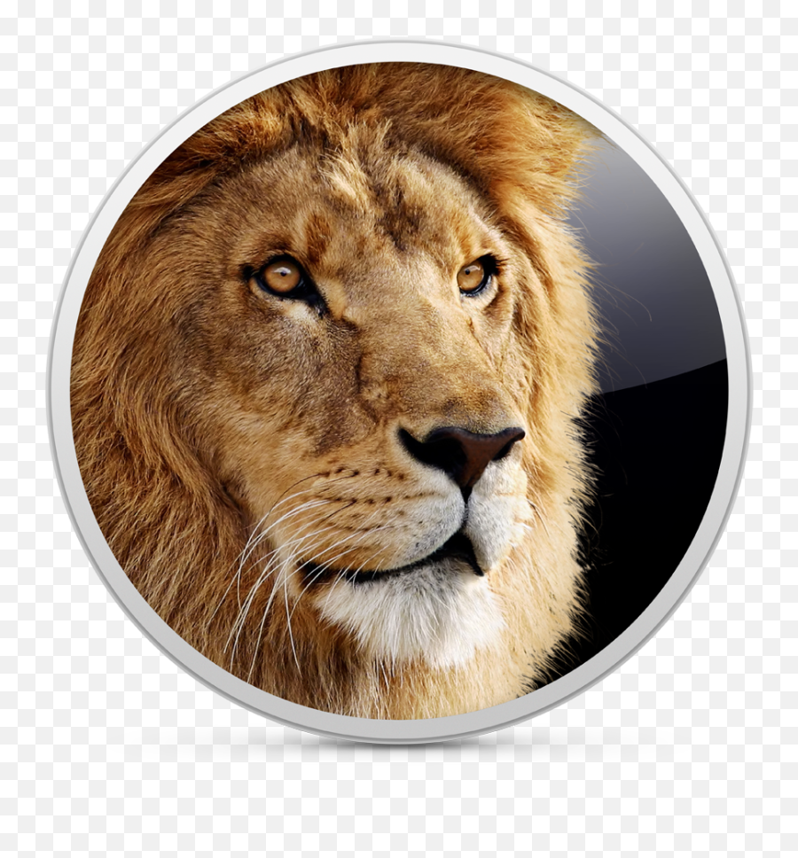 Lions Set For Mac - Mac Os X Lion Png,Lion Png Logo