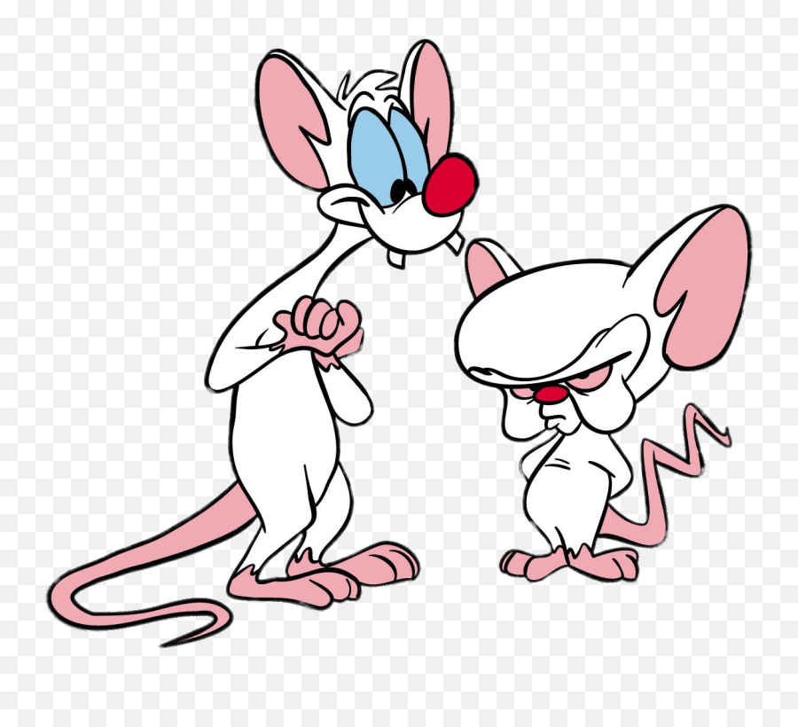Transparent Pinky And The Brain Png Image - Pinky And The Brain Png,Cartoon Brain Png
