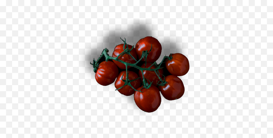 Tomatoes - Meat Png,Tomatoes Png