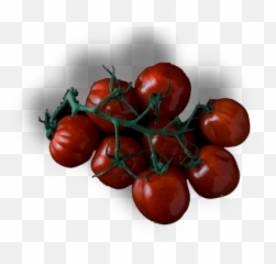 Tomatoes - Meat Png,Tomatoes Png
