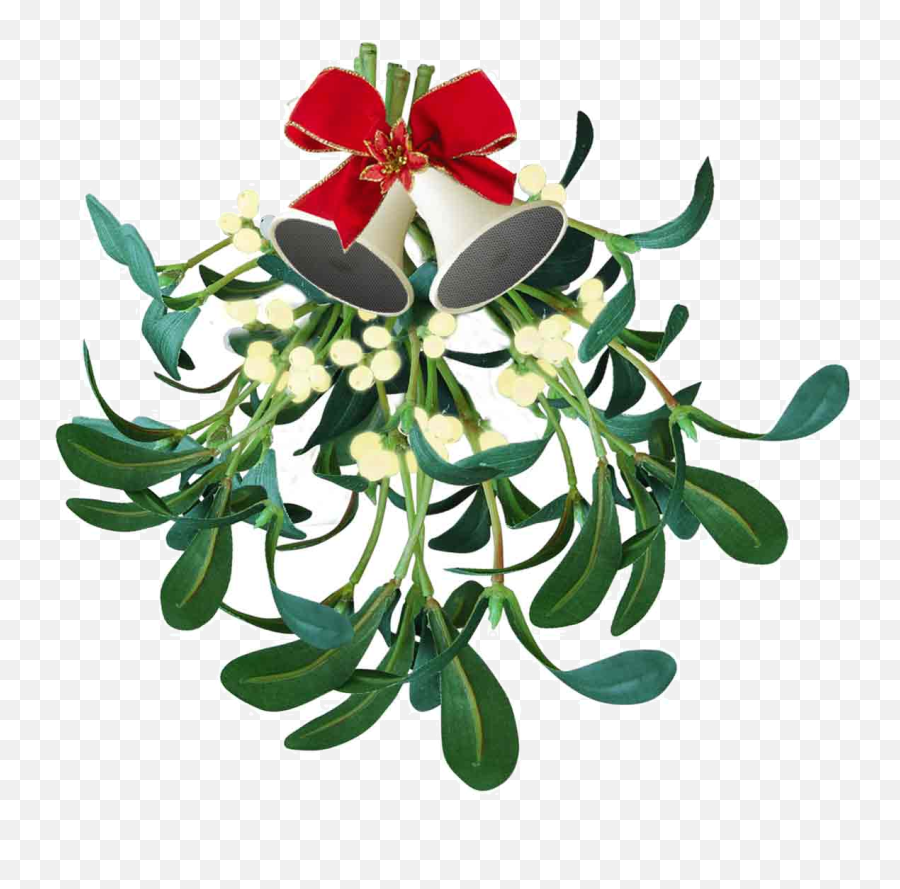 Meaning Mistletoe Christmas Png