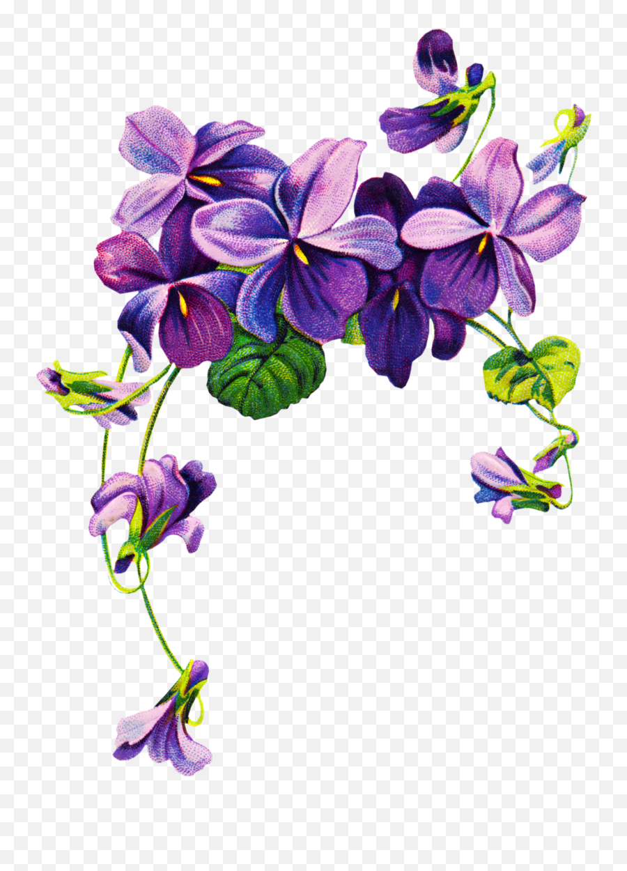 Violet Png Free Download - Purple Watercolor Flowers,Lilac Png