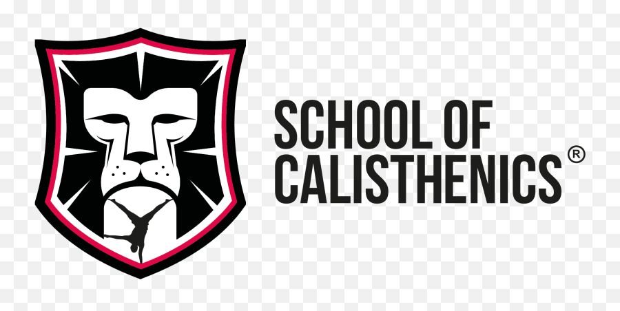 One Piece Of Advise For Your Training In 2019 - School Of School Of Calisthenics Logo Png,Onepiece Logo