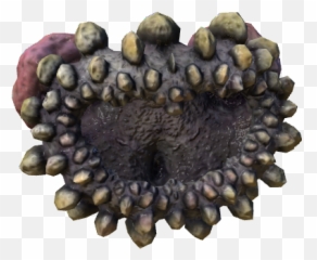 P3din - Fractal Stoneclam Grape Png,Fractal Png
