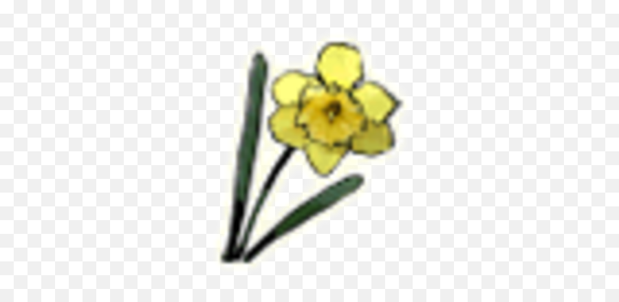 Daffodil - Floral Png,Daffodil Icon