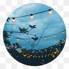 Light Bulbs Blue Sky Sticker - Aesthetic Profile Pictures png
