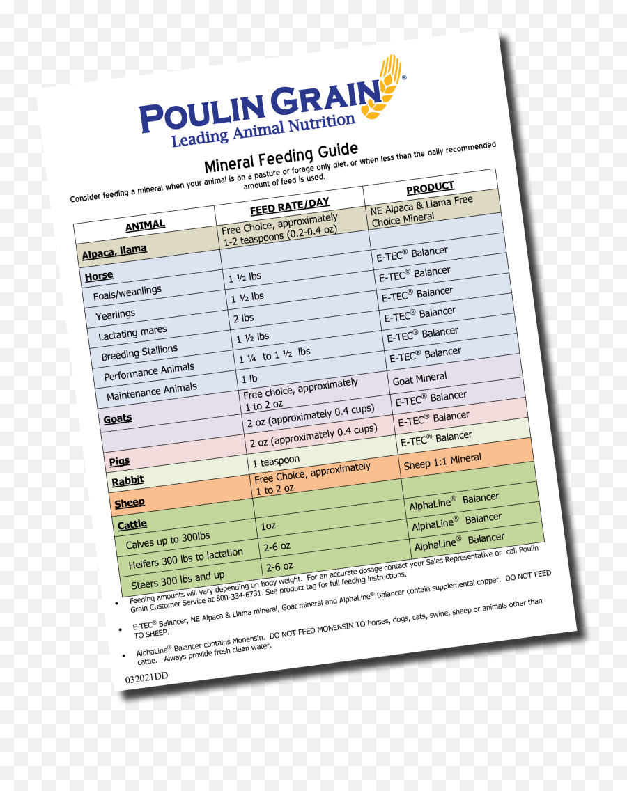 Poulin Grain - Dot Png,Free Choice Icon