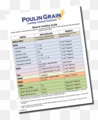Poulin Grain - Dot png