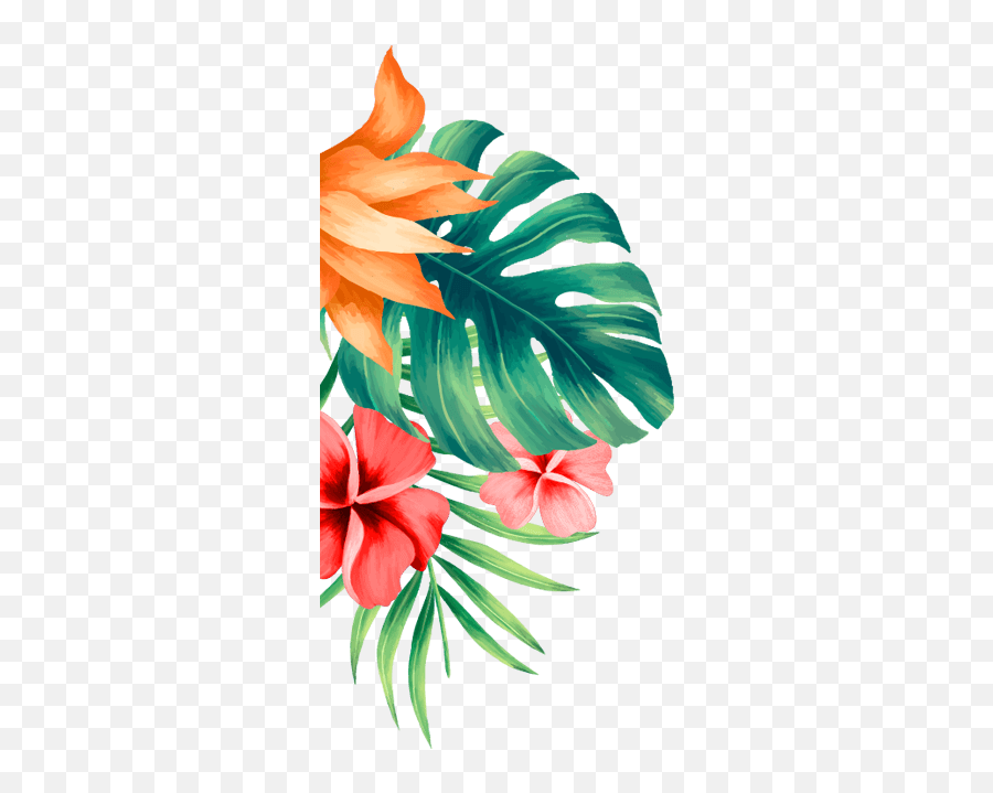 Kahala Koa Best Tikibars - Hawaiian Hibiscus Png,Vintage Icon Lemon Drop