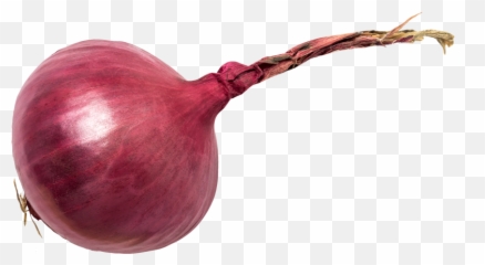 Red Onion Full Size Png Download Seekpng - Transparent Red Onion,Onion Png