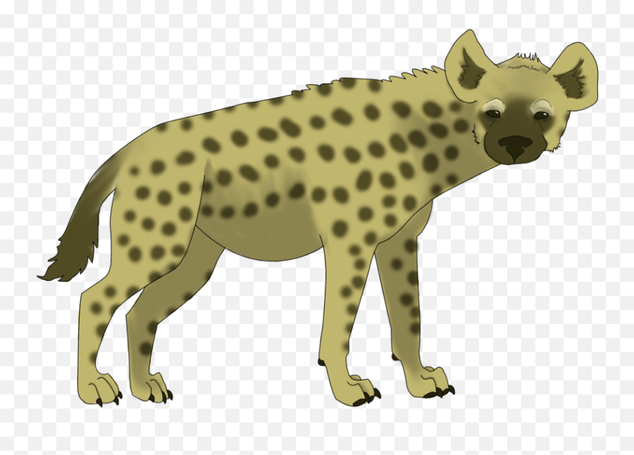 Spotted Hyena Transparent Cartoon - Jingfm Hyena Clipart Png,Hyena Png