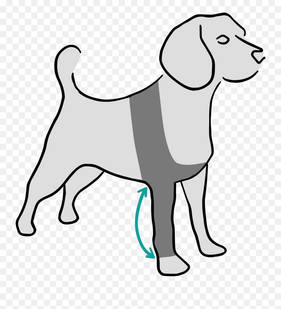 Recovery Sleeve Dog - Suitical Png,Black Dog Icon